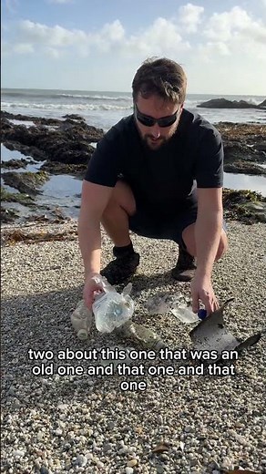 Single use plastic pollution - water bottles in the sea