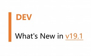 【转载】What's New in v19.1 DEV