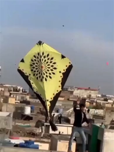 Kite Flying Adventures