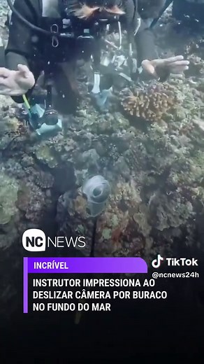 O instrutor de mergulho Miyakojima Kuni-san chamou atenção nas redes sociais após registrar um momento impressionante no fundo do mar. Nas imagens, ele deixa uma câmera subaquática deslizar lentamente por um buraco submerso, revelando um cenário misterioso e hipnotizante que rapidamente viralizou entre os internautas. A gravação encantou amantes do mergulho e da natureza pela sensação única de profundidade e pela beleza das formações submarinas registradas durante a experiência. 🎥 Reprodução #M