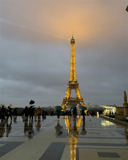 2.1K views · 305 reactions | Emmy Combs on Reels | Facebook