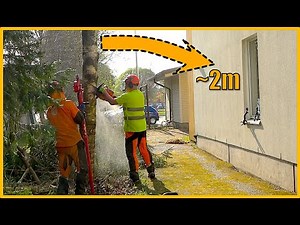 EPIC Tree Felling Next to a House