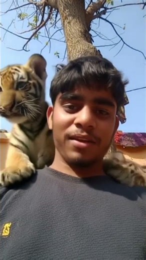 baby tiger #phonk