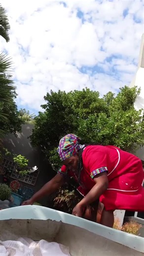 Funny Coloured Skits South Africa