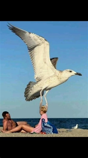 Satisfying photos #perfectlytimed #satistifying #perfection