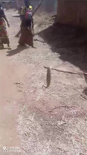 Six village réinstaller, vraiment la transition travail fort fort. | La Voix Du Peuple