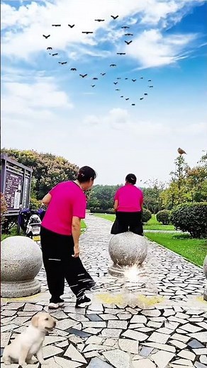 Obedient Shidun original video Special effects video production Virtual interpretation is for en