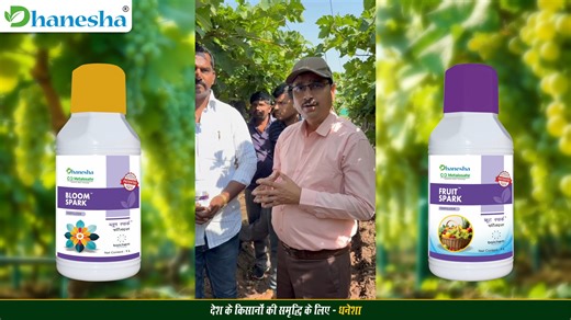 Dhanesha Crop Science Pvt Ltd on Instagram: "#Bloomspark is latest patented technology based chelated Boron specially for foliar application. Boron is a highly immobile nutrient in plant as it cannot move in phloem. With this technology, Boron is chelated with a highly bioavailable plant-based Glycine which makes it available to required sites. 𝐃𝐨𝐬𝐞/𝐚𝐜𝐫𝐞 (𝐦𝐥): 200 #Fruitspark is latest patented technology based chela