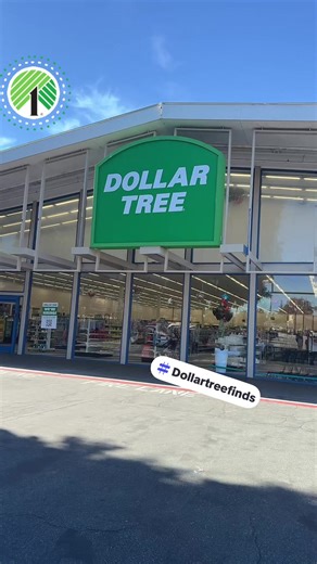 Budget-Friendly Dollar Tree Makeup Haul