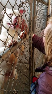 4.5K views · 77 reactions | Amelia is our longest resident at the...