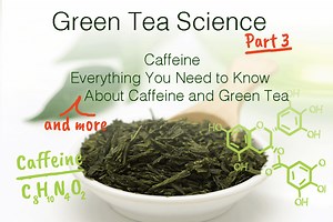 Green Tea and Caffeine: Exploring the Fascinating Science