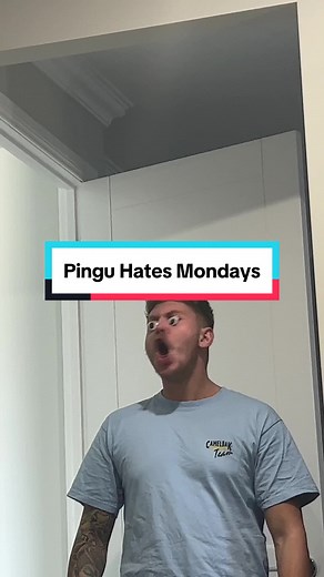 Penguin's Monday Struggles | Funny Pingu Video
