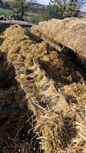 Diet Feeder #wagyu #farm #finnowfarm #farming #farmlife #beef #japanese #breed #cattle