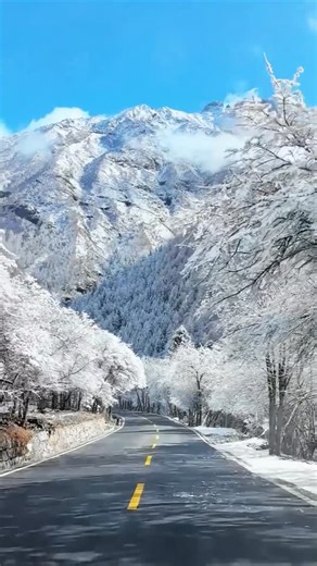 Yu Dunga on Instagram: "“Mount Siguniang: A Symphony of Snow and Colorful Forests” Stepping into the realm of Mount Siguniang feels like entering a dual dream sculpted by nature itself. In winter, the towering snow-capped peaks stand majestic, wrapped in pristine white, with clouds drifting around the summits. The asphalt road winds through crystal branches and jade-like trees, while green sightseeing vehicles trace lively strokes across the silver landscape. Ice-blue lakes mirror the outlines o