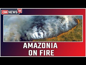 Amazon Wildfires: Brazil’s Rainforest Burning at a Record Rate