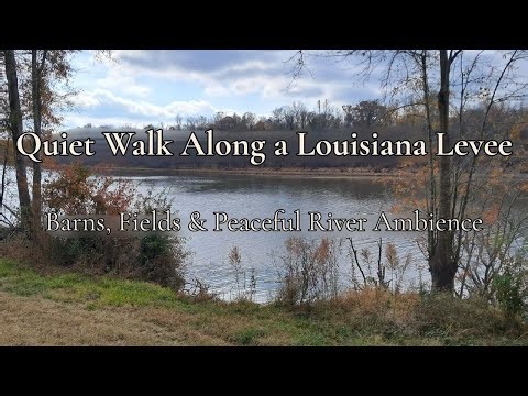 A Quiet Walk Along a Louisiana Levee | Cows, Abandoned Barns, Fields & River Sounds