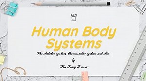 Human Body Systems