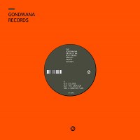 Colors – The Gondwana Orchestra Review | All About Jazz