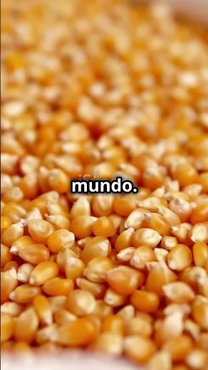 🌽 El Origen del Maíz: ¿Cómo México Alimentó al Mundo?