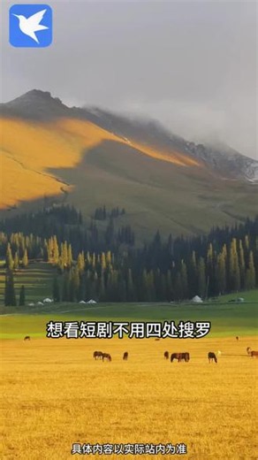 冲啊！免费看大片，迅雷资源多到爆！