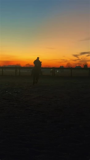 Que the edits for a while with this video 😂😂😂 from graceful to Paso Fino 😂😂😂 #firstklasequine #horses #ice