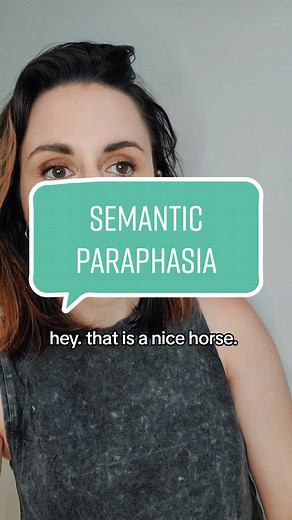 Understanding Semantic Paraphasia Errors Explained