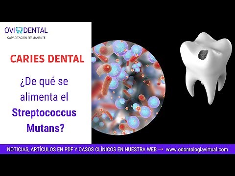 CARIES DENTAL: De qué se alimenta el Streptococcus Mutans