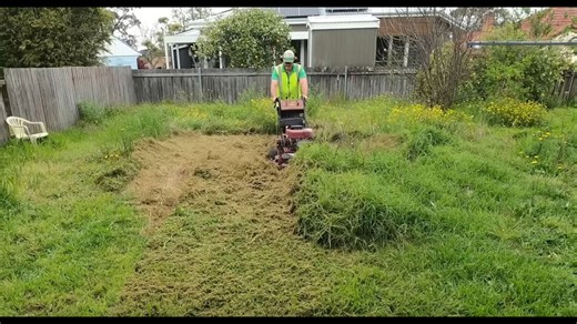 Overgrown to beautiful: Transforming a yard for a grateful neighbor