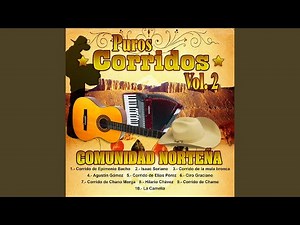 Corrido De Chame