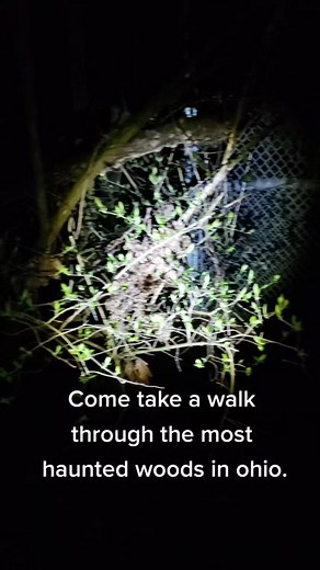 Witchy vibes #scarywoods #hauntedwoods #4u #scarytiktoks #scaryfyp #spookytok #purgatory #fyp #cryptic #hideandseek