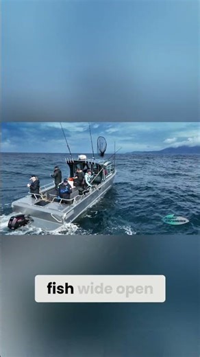 Monster Lingcod & Yelloweye Rockfish in Haida Gwaii
