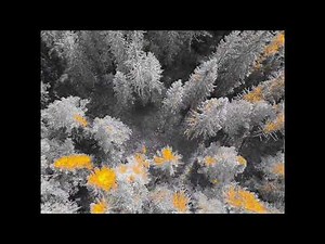 Example footage from Parrot Anafi Thermal