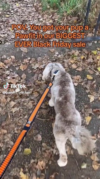 Get ready to save up to 25% in the Pawfit Black Friday sale and sign up to the newsletter for exclusive early access! #dogtracker #gpstracker #pawfit #blackfriday