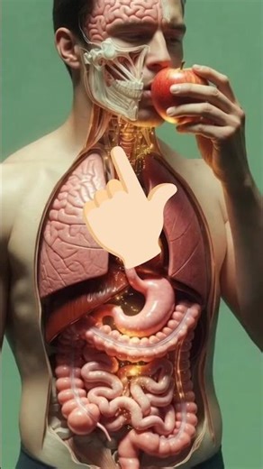 🤢How to apple benefits 🤢 #reels #science #drink #viral #water