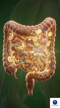 This is what Excess Sugar ACTUALLY does to your organs 😱