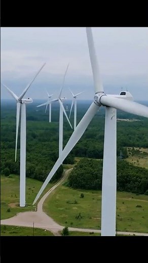 What is Biomimicry? #biomimicry #design #architecture