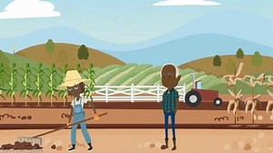 Clean the stream programme