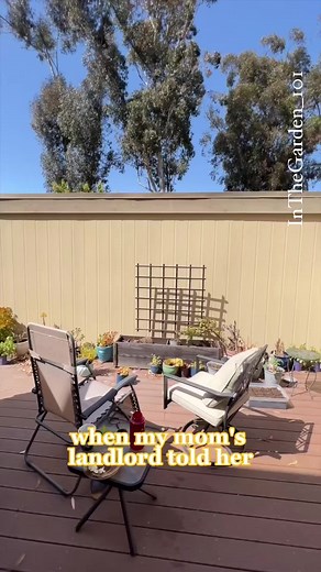 Transforming my porch into a garden oasis with these DIY garden beds a... | TikTok