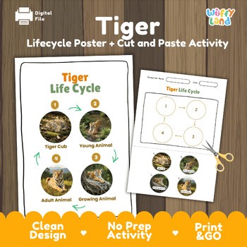 Tiger Life Cycle Chart & Cut and Paste Activity | Jungle Mammal Biology