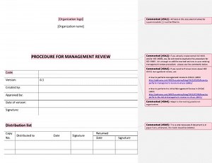 Procedure for Management Review [ISO 45001 documents]