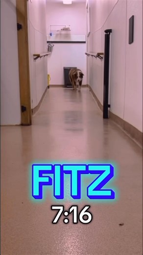 Let’s see what time our early morning friends piled into the yard this morning! Interested in joining our pack? Give us a try for only $99! https://www.petresortpromo.com/candlewick-kennels/daycare-promo?utm_source=gingr&utm_medium=sms&utm_campaign=evergreen | Candlewick Kennels