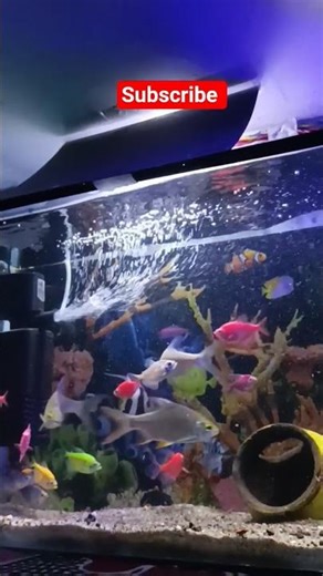 Ye Machhliya khana #vlog #trending #shorts #viral #facts #fish #like #shortsfeed #share #subscribe