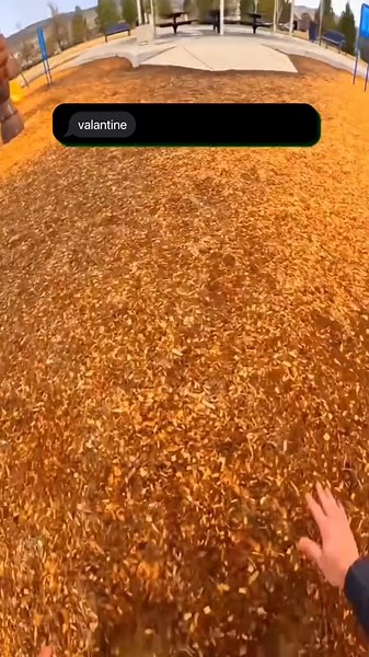 Hilarious Texts and Funny Moments with Friends