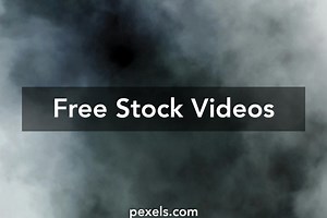 4k Alex Grey Videos, Download The BEST Free 4k Stock Video Footage & 4k Alex Grey HD Video Clips