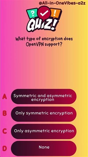 What type of encryption does OpenVPN support?