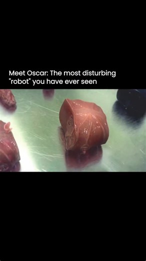 Evolvify.ai on Instagram: "What you’re looking at isn’t a traditional machine. This sci-fi concept project explores a modular body made from organic components that snap together more like living tissue than metal parts. Instead of rigid frames and motors, the idea is flexibility, regeneration, and adaptability. It looks unsettling on purpose. The concept sits at the edge of where robotics and biology start to blur. Researchers are already experimenting with bio hybrid systems, lab grown tissues