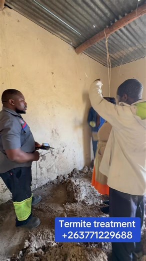 Termite colonies can chew through wood, flooring and even wallpaper non-stop, 24 hours a day, seven days a week.Homeowners should have their property professionally inspected for termites once a year to prevent infestations and costly damage.The total weight of all the termites in the world is greater than the weight of all the humans in the world.Termites cause more than approximately $5 billion in Zimbabwe property damage𝐖𝐡𝐚𝐭 𝐬𝐞𝐭𝐬 𝐮𝐬 𝐚𝐩𝐚𝐫𝐭 𝐟𝐫𝐨𝐦 𝐨𝐭𝐡𝐞𝐫𝐬?• Fast Pest Remov