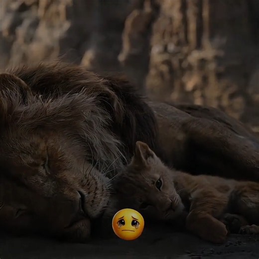 Madad Karo | The Lion King | Song - KAMIN SLOWED #foryou #like #viral #explore #lovestory