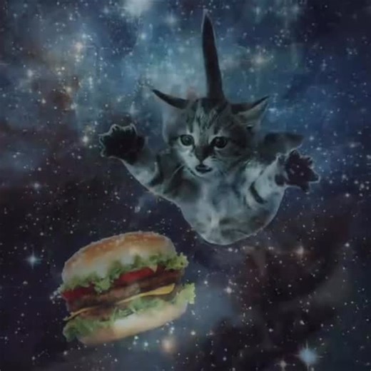 Cursed Cats on Instagram: "Real idc • Credit: wondxr.z on TikTok • Follow @meowcursed for more cursed cats videos 😸 • Follow: @meowcursed Follow: @meowcursed Follow: @meowcursed • ❤ Like and Share! 🌈 Tag your best friend! 😳 Ay you forgot to follow! • • • • • #catvideo #meowcursed #cursedcat #cursedcats #tiktokmemes #tiktokcat #tiktokcats #catvideos #funnycatvideos #weirdcat #weirdcats #sillycats #cutecat #cutecats #kitten #kittens #sadcat #sadcats #catmeme #catmemes #wholesome #wholesomememes