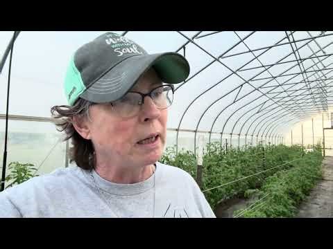 How To Make The Most From Your Space. Companion planting Basics.